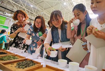 青岛著名茶叶品种一览：品味地道的青岛茶文化