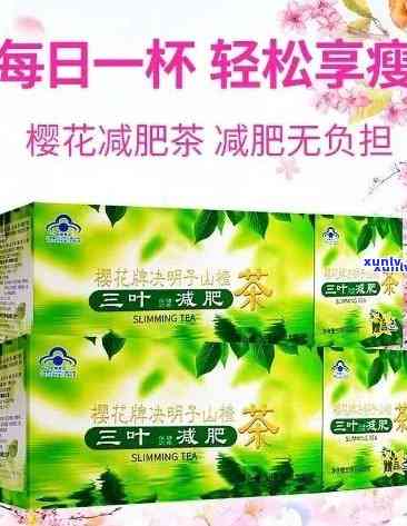 三叶减肥茶的效果好吗：权威评价与科学原理解析