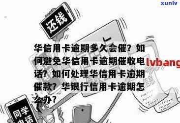 华信用卡逾期7800元怎么处理