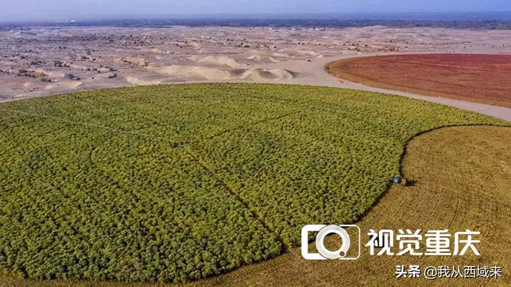 和田玉青花粘合剂好吗值钱吗