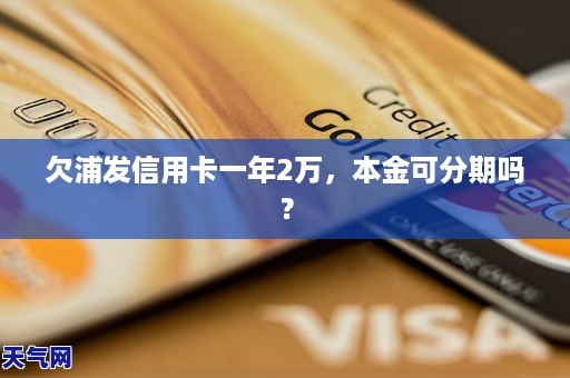 欠信用卡五万以上是指本金吗