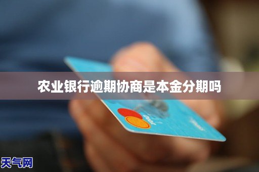 农业银行协商还本金要多久