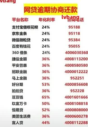 欠网贷50万逾期五个月如何解决