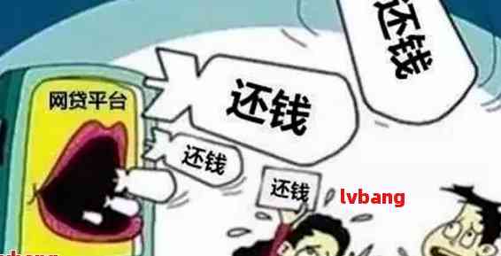 16个网贷全面逾期后如何处理