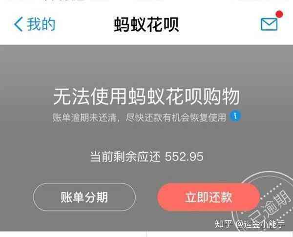 支付宝网商贷逾期了上