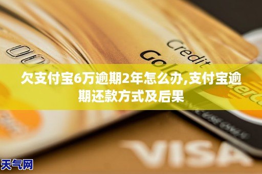 支付宝6万逾期2年了