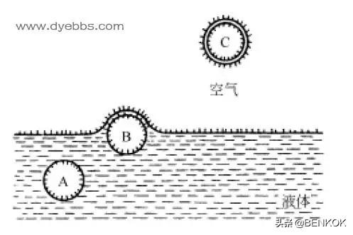 水体表面张力对泡沫形成的影响：原因与条件探讨