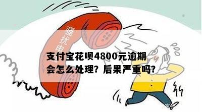 花呗4600逾期还款怎么处理