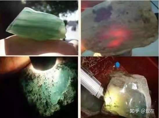 莫西沙枯藓的特征观察与应用：一项详尽的指南