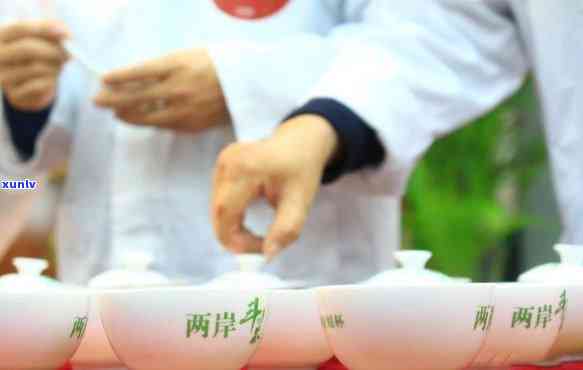 趣味斗茶大赛普洱茶是什么茶？2021普洱茶斗茶大赛全解析