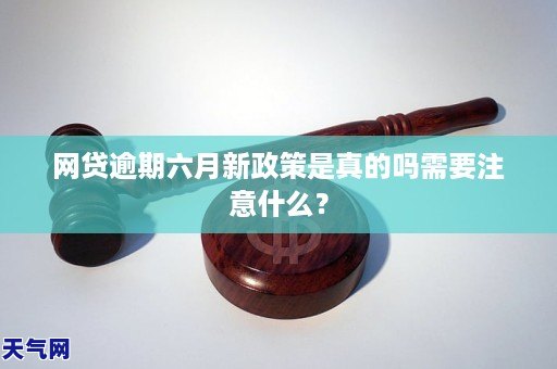 六月网贷逾期了怎么办