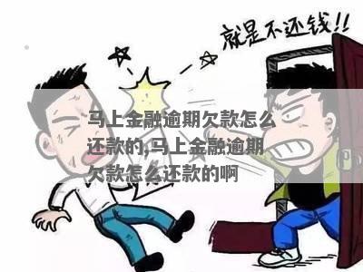 金融欠款不还怎么办