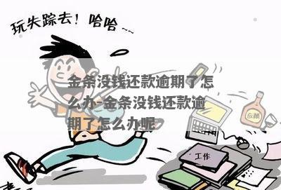 金融欠款不还怎么办