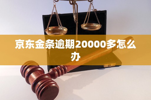 京东金条逾期欠款20000怎么办