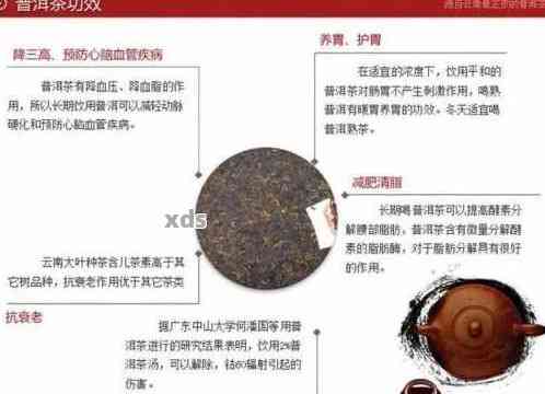 全面解析普洱茶防湿剂的成分：从科学角度理解其作用原理与效果