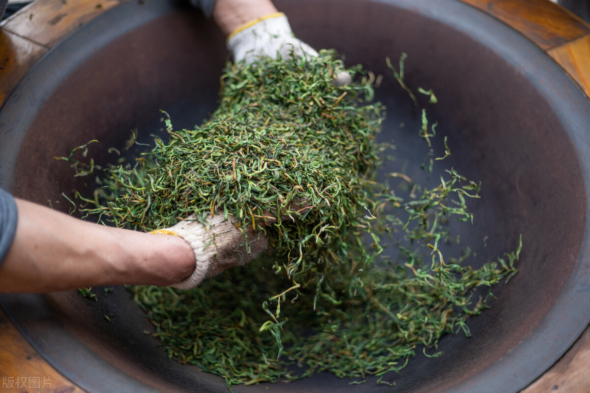 普洱茶古树与台地茶的区分