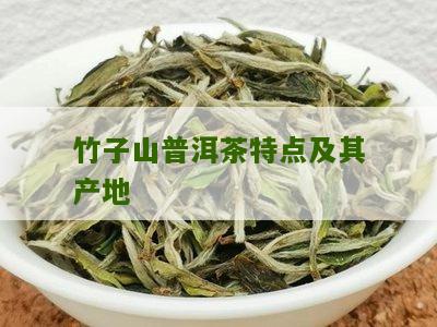 新普洱茶竹子山头的产地、品种及口感特点全方位解析