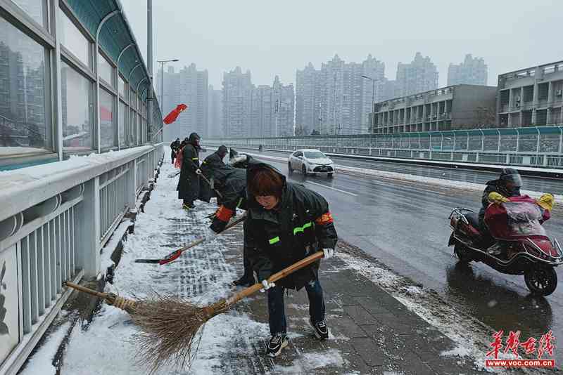 冰芙蓉翡翠：一种珍贵的翡翠玉石及其独特魅力与选购指南