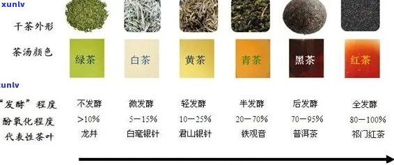 红茶的发酵程度：了解半发酵茶以及全发酵茶的区别和特点