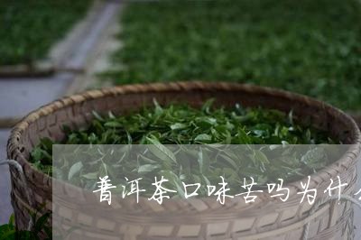 普洱茶舌尖苦是怎么回事