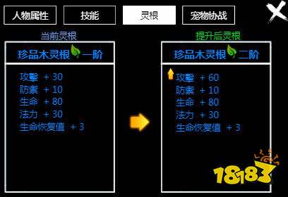 神木带什么灵饰：更佳选择与搭配攻略