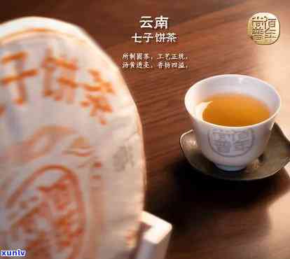 古茶七子饼珍藏版： 历、文化与品质的完美融合