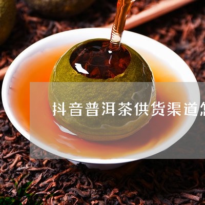 寻找普洱茶供货商？了解抖音平台上的优质供应商及产品推荐