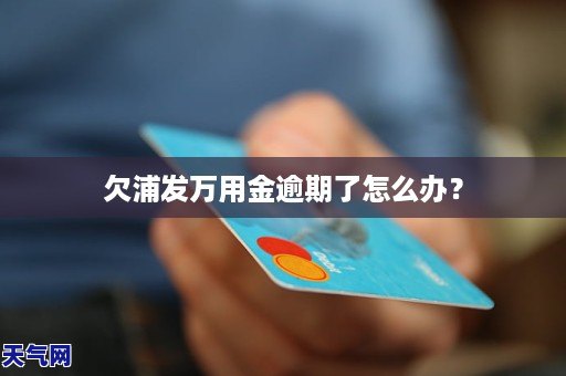 浦发万用金逾期未还会本吗