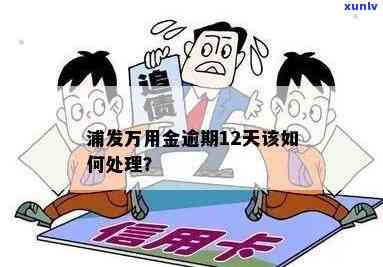 浦发万用金逾期未还会本吗