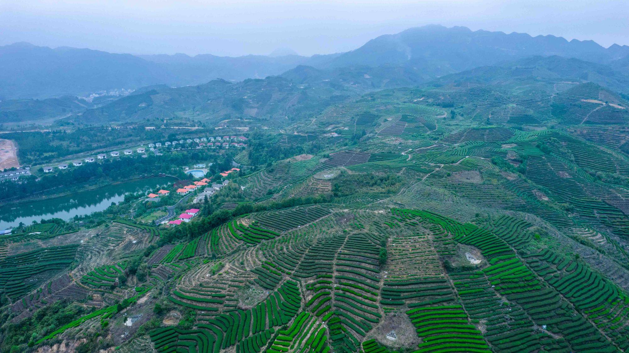 疏勒县旅游景点推荐：探索当地特色文化与自然风光