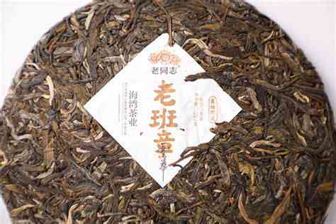 1998年普洱茶老班章