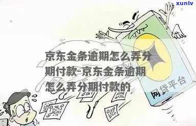 京东金条逾期1年了怎么办理及相关解决方法