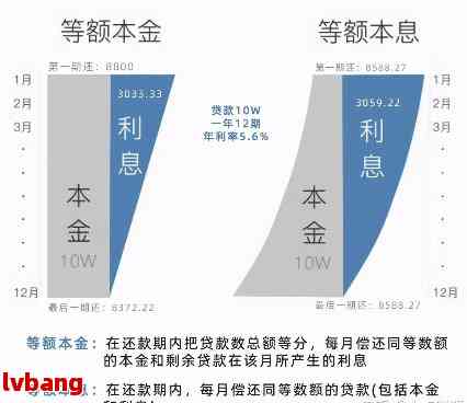 逾期利息的计算基数怎么确定