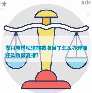 支付宝最新借呗逾期如何处理