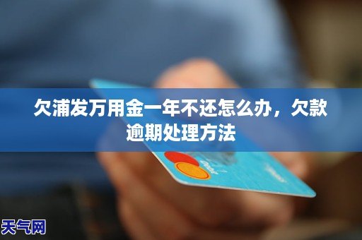 浦发万用金逾期3年怎么办处理方式