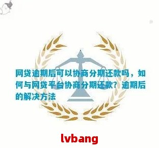 网贷逾期怎么去协商还款的