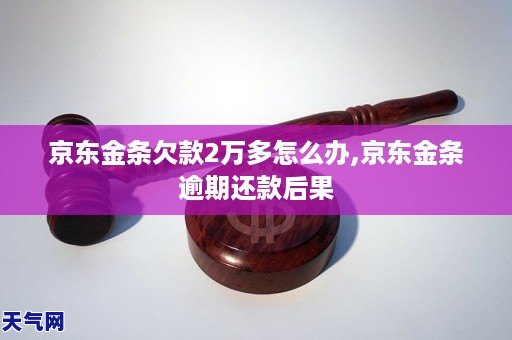 京东金条欠两万应该怎么处理