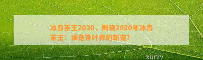 冰岛茶王2020:品质、产地与冲泡方法的全面解析