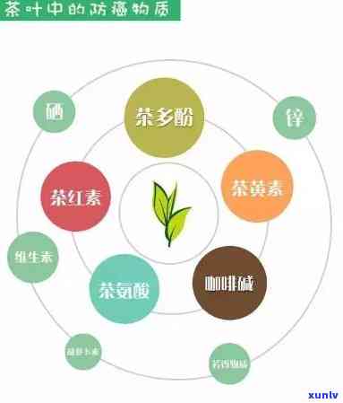 探索抗癌潜力：哪些茶叶具有抗癌效果？