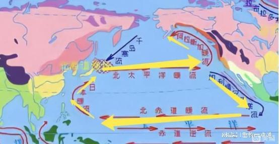 长江河床中的石头：种类、成因、作用与生态环境影响