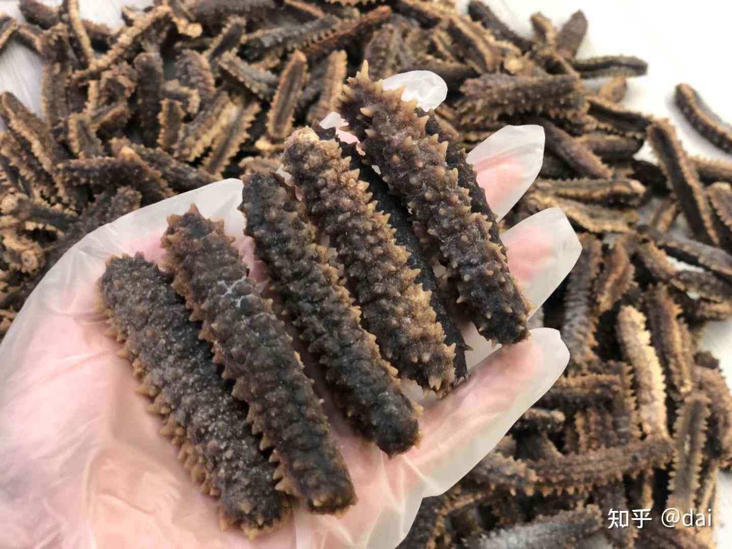 印尼刺参和黄玉参的区别及食用方法：了解这两种海参的特性与适用人群