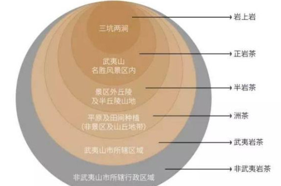 武夷山岩茶种类与价格一览：如何选择最合适的印茗茶？