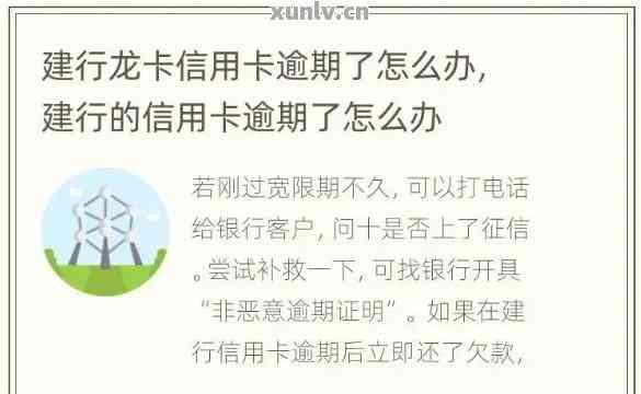 龙卡信用卡逾期应该怎么处理