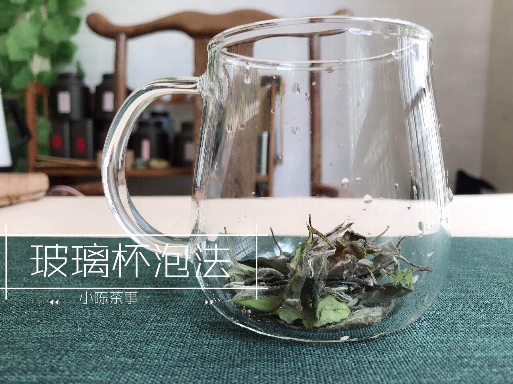 普洱茶和绿茶可以一起喝吗？女性适合饮用，一起泡有什么功效？