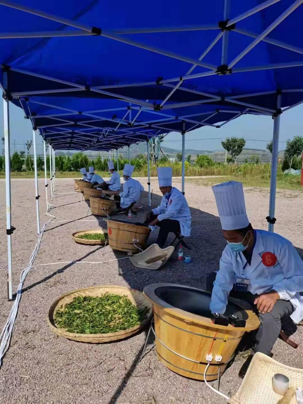 茶匠心精神：探索制茶工艺、茶叶品质与泡茶技巧的全面指南