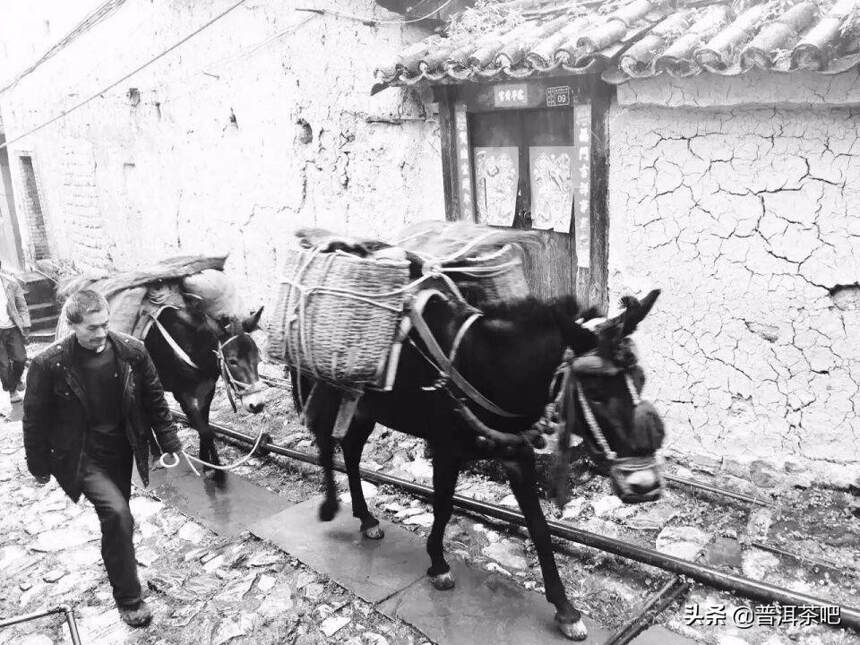 茶马古道马帮老照片：爱情故事与历传承