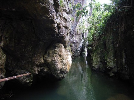 马帮园茶马古道普洱茶