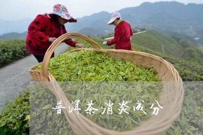 普洱茶有消炎功能