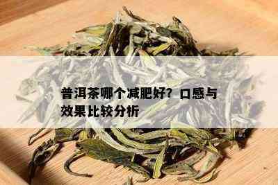 减脂普洱茶什么口味好喝一点