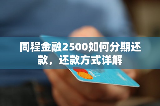 欠今金融2500还要还一万